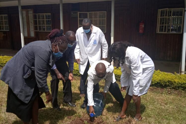 SCHOOL EMBARKS ON DRIVE TO PLANT TREES