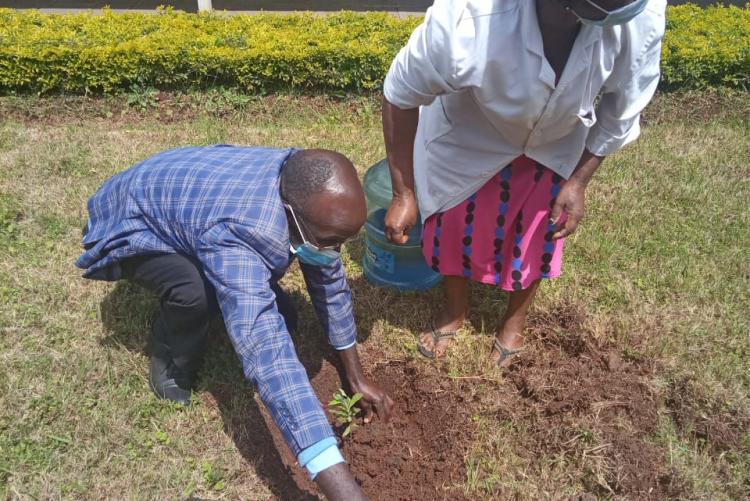 SCHOOL EMBARKS ON DRIVE TO PLANT TREES